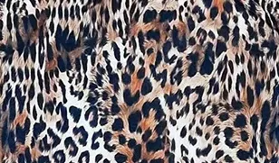 ست سوتین و دامن پلنگی Delwin کد 003 - تصویر 4